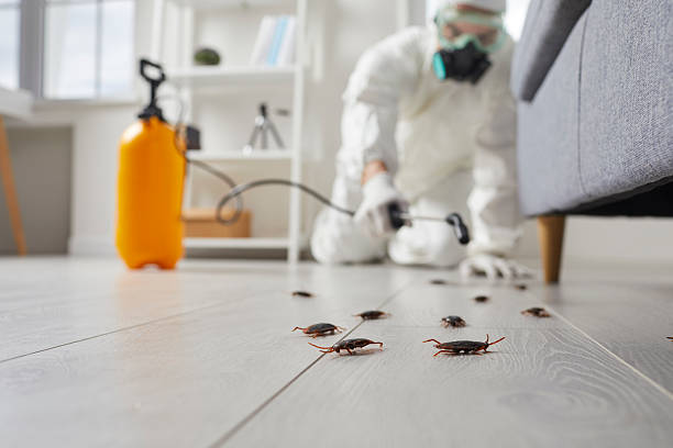 Post-Treatment Bed Bug Interceptor Monitoring in Burt