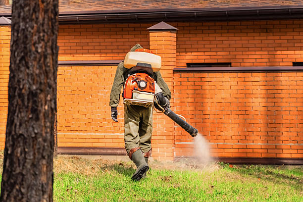 Bed Bug Clearance Verification and Documentation in Burt